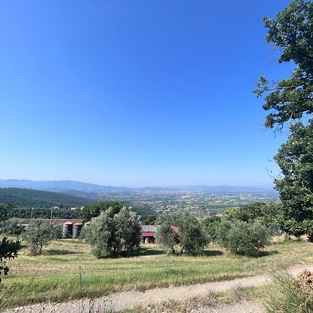 Le Case Di Anita In Toscana - Arezzo Exterior foto