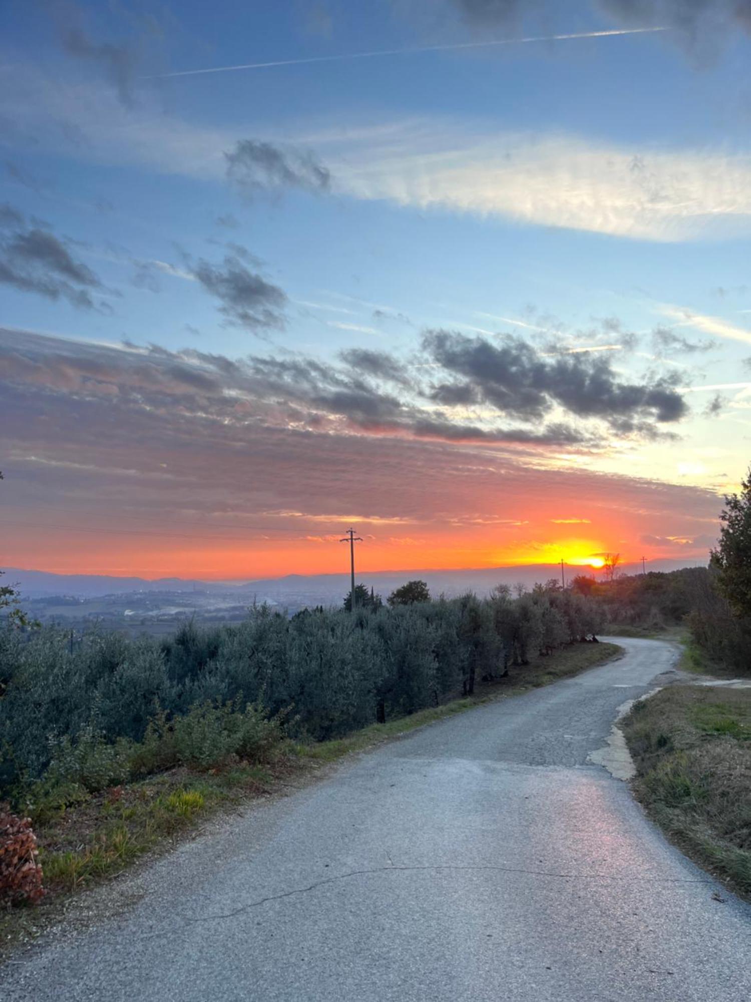 Le Case Di Anita In Toscana - Arezzo Exterior foto